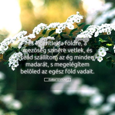 Picture 05 - Ezékiel 32:4 KAR - És leterítlek a földre, a mezõség színére - Bible Verse Picture