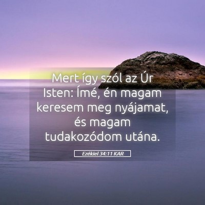 Picture 05 - Ezékiel 34:11 KAR - Mert így szól az Úr Isten: Ímé, én magam - Bible Verse Picture