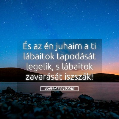 Picture 05 - Ezékiel 34:19 KAR - És az én juhaim a ti lábaitok tapodását - Bible Verse Picture