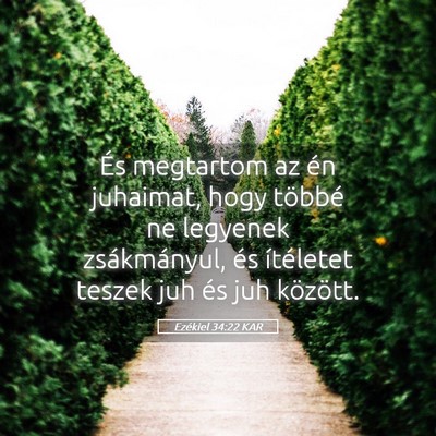 Picture 05 - Ezékiel 34:22 KAR - És megtartom az én juhaimat, hogy többé ne - Bible Verse Picture