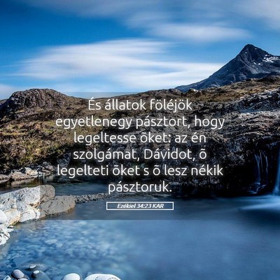 Picture 05 - Ezékiel 34:23 KAR - És állatok föléjök egyetlenegy pásztort, - Bible Verse Picture