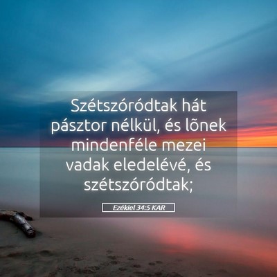 Picture 05 - Ezékiel 34:5 KAR - Szétszóródtak hát pásztor nélkül, és - Bible Verse Picture