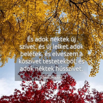 Picture 05 - Ezékiel 36:26 KAR - És adok néktek új szívet, és új lelket adok - Bible Verse Picture