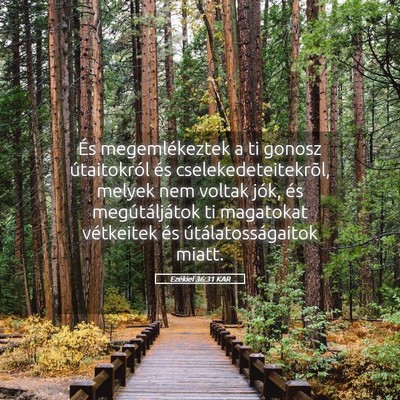 Picture 05 - Ezékiel 36:31 KAR - És megemlékeztek a ti gonosz útaitokról és - Bible Verse Picture