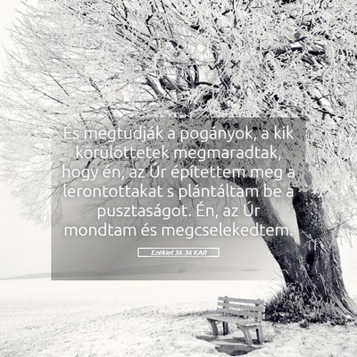Picture 05 - Ezékiel 36:36 KAR - És megtudják a pogányok, a kik körülöttetek - Bible Verse Picture