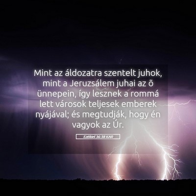 Picture 05 - Ezékiel 36:38 KAR - Mint az áldozatra szentelt juhok, mint a - Bible Verse Picture