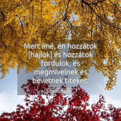 Picture 05 - Ezékiel 36:9 KAR - Mert ímé, én hozzátok [hajlok] és hozzátok - Bible Verse Picture