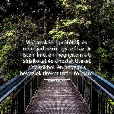 Picture 05 - Ezékiel 37:12 KAR - Annakokáért prófétálj, és mondjad nékik: - Bible Verse Picture