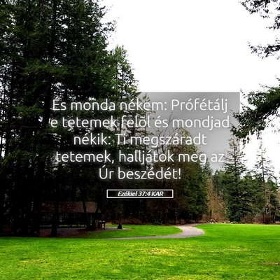 Picture 05 - Ezékiel 37:4 KAR - És monda nékem: Prófétálj e tetemek felõl - Bible Verse Picture