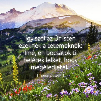 Picture 05 - Ezékiel 37:5 KAR - Így szól az Úr Isten ezeknek a tetemeknek: - Bible Verse Picture