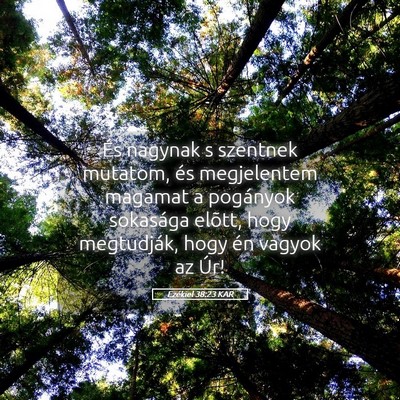 Picture 05 - Ezékiel 38:23 KAR - És nagynak s szentnek mutatom, és megjelentem - Bible Verse Picture