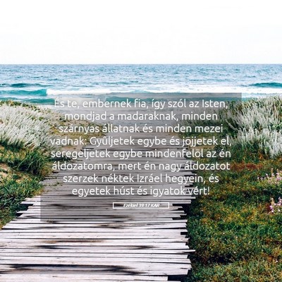Picture 05 - Ezékiel 39:17 KAR - És te, embernek fia, így szól az Isten, - Bible Verse Picture