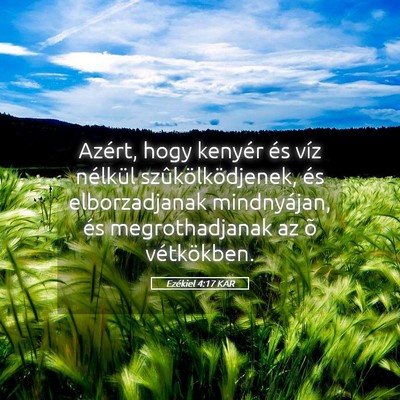 Picture 05 - Ezékiel 4:17 KAR - Azért, hogy kenyér és víz nélkül - Bible Verse Picture