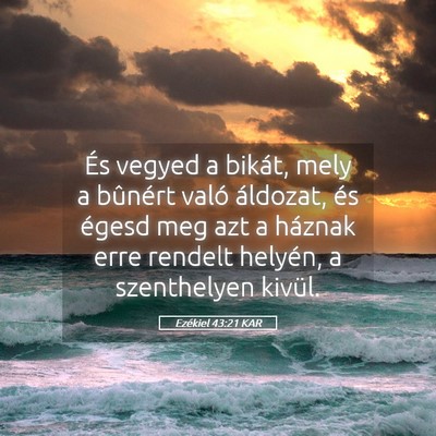 Picture 05 - Ezékiel 43:21 KAR - És vegyed a bikát, mely a bûnért való - Bible Verse Picture