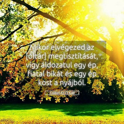 Picture 05 - Ezékiel 43:23 KAR - Mikor elvégezed az [oltár] megtisztítását, - Bible Verse Picture