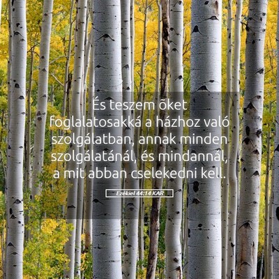 Picture 05 - Ezékiel 44:14 KAR - És teszem õket foglalatosakká a házhoz való - Bible Verse Picture