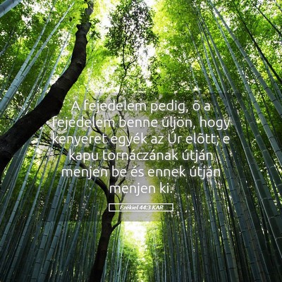 Picture 05 - Ezékiel 44:3 KAR - A fejedelem pedig, õ a fejedelem benne üljön, - Bible Verse Picture