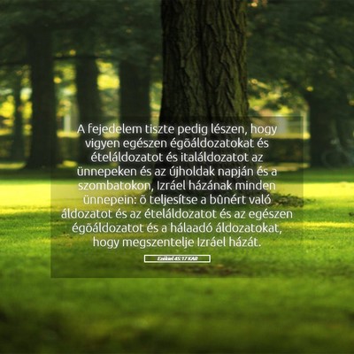 Picture 05 - Ezékiel 45:17 KAR - A fejedelem tiszte pedig lészen, hogy vigyen - Bible Verse Picture