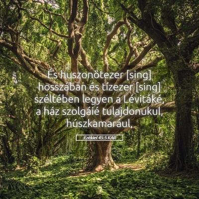 Picture 05 - Ezékiel 45:5 KAR - És huszonötezer [sing] hosszában és tízezer - Bible Verse Picture