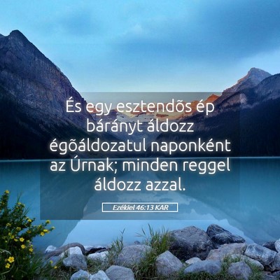 Picture 05 - Ezékiel 46:13 KAR - És egy esztendõs ép bárányt áldozz - Bible Verse Picture