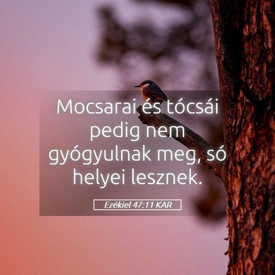 Picture 05 - Ezékiel 47:11 KAR - Mocsarai és tócsái pedig nem gyógyulnak meg, - Bible Verse Picture
