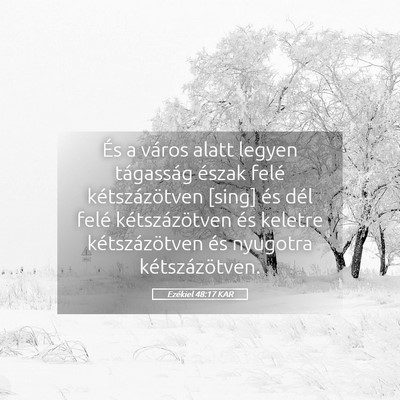 Picture 05 - Ezékiel 48:17 KAR - És a város alatt legyen tágasság észak felé - Bible Verse Picture