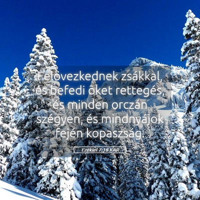 Picture 05 - Ezékiel 7:18 KAR - Felövezkednek zsákkal, és befedi õket - Bible Verse Picture