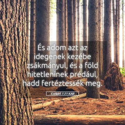Picture 05 - Ezékiel 7:21 KAR - És adom azt az idegenek kezébe zsákmányul, - Bible Verse Picture