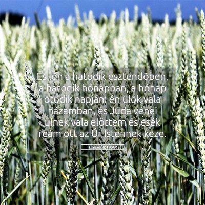 Picture 05 - Ezékiel 8:1 KAR - És lõn a hatodik esztendõben, a hatodik - Bible Verse Picture
