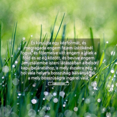 Picture 05 - Ezékiel 8:3 KAR - És kinyújta egy kézformát, és megragada - Bible Verse Picture