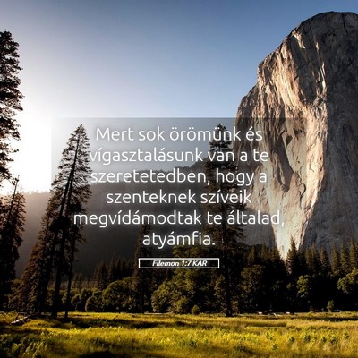 Picture 05 - Filemon 1:7 KAR - Mert sok örömünk és vígasztalásunk van a te - Bible Verse Picture