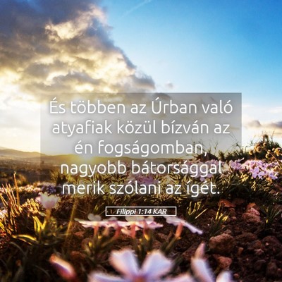 Picture 05 - Filippi 1:14 KAR - És többen az Úrban való atyafiak közül - Bible Verse Picture