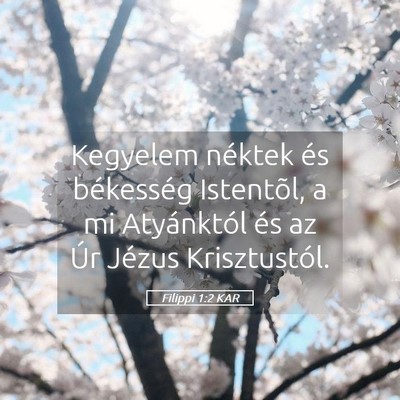 Picture 05 - Filippi 1:2 KAR - Kegyelem néktek és békesség Istentõl, a mi - Bible Verse Picture