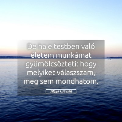 Picture 05 - Filippi 1:22 KAR - De ha e testben való életem munkámat - Bible Verse Picture