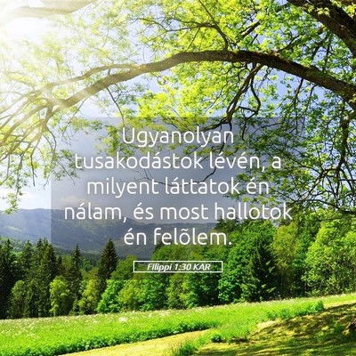 Picture 05 - Filippi 1:30 KAR - Ugyanolyan tusakodástok lévén, a milyent - Bible Verse Picture