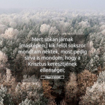 Picture 05 - Filippi 3:18 KAR - Mert sokan járnak [másképen,] kik felõl - Bible Verse Picture