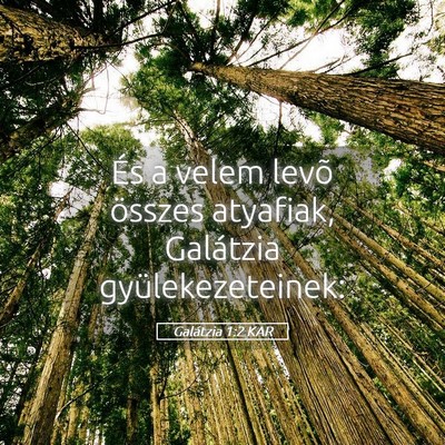 Picture 05 - Galátzia 1:2 KAR - És a velem levõ összes atyafiak, Galátzia - Bible Verse Picture