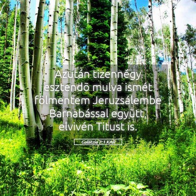 Picture 05 - Galátzia 2:1 KAR - Azután tizennégy esztendõ mulva ismét - Bible Verse Picture