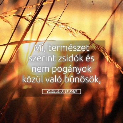 Picture 05 - Galátzia 2:15 KAR - Mi, természet szerint zsidók és nem pogányok - Bible Verse Picture