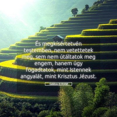 Picture 05 - Galátzia 4:14 KAR - És megkísértetvén testemben, nem vetettetek - Bible Verse Picture