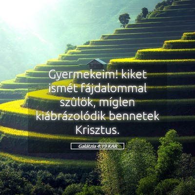 Picture 05 - Galátzia 4:19 KAR - Gyermekeim! kiket ismét fájdalommal szûlök, - Bible Verse Picture