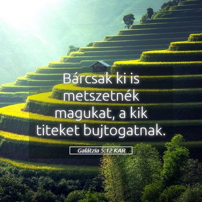 Picture 05 - Galátzia 5:12 KAR - Bárcsak ki is metszetnék magukat, a kik titeket - Bible Verse Picture