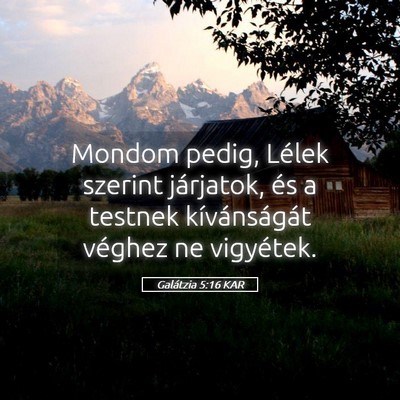 Picture 05 - Galátzia 5:16 KAR - Mondom pedig, Lélek szerint járjatok, és a - Bible Verse Picture