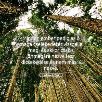 Picture 05 - Galátzia 6:4 KAR - Minden ember pedig az õ maga cselekedetét - Bible Verse Picture