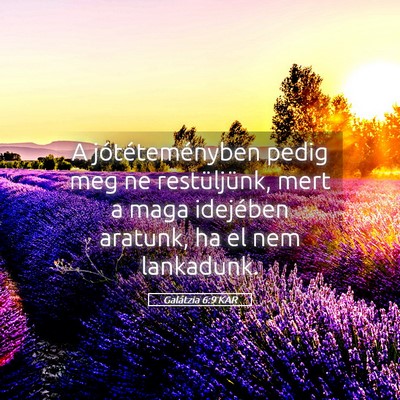 Picture 05 - Galátzia 6:9 KAR - A jótéteményben pedig meg ne restüljünk, - Bible Verse Picture