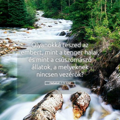 Picture 05 - Habakuk 1:14 KAR - Olyanokká teszed az embert, mint a tenger halai, - Bible Verse Picture