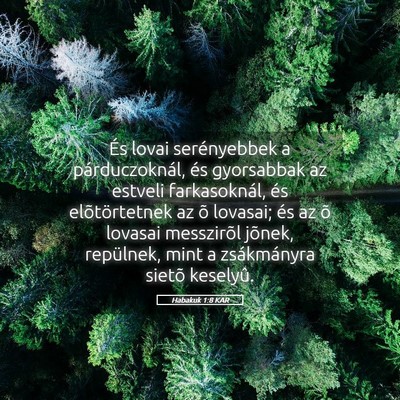 Picture 05 - Habakuk 1:8 KAR - És lovai serényebbek a párduczoknál, és - Bible Verse Picture