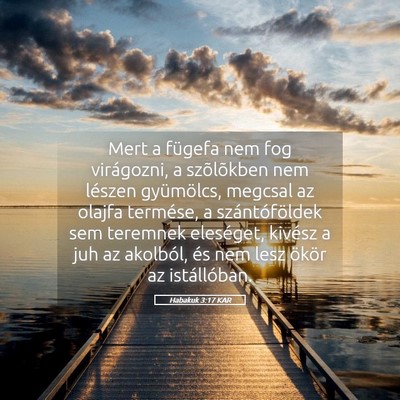 Picture 05 - Habakuk 3:17 KAR - Mert a fügefa nem fog virágozni, a szõlõkben - Bible Verse Picture