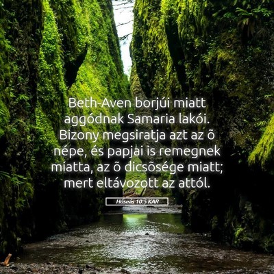Picture 05 - Hóseás 10:5 KAR - Beth-Aven borjúi miatt aggódnak Samaria lakói. - Bible Verse Picture