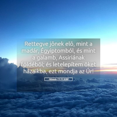 Picture 05 - Hóseás 11:11 KAR - Rettegve jõnek elõ, mint a madár, - Bible Verse Picture